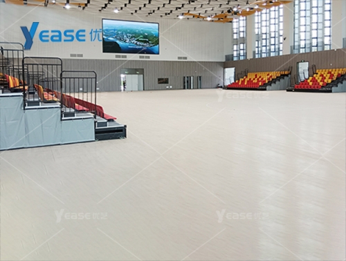 廣東省東莞市大灣區(qū)大學體育館